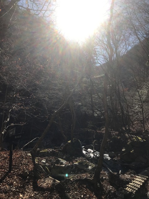 AC2945AD-389F-498F-99C8-320802759315