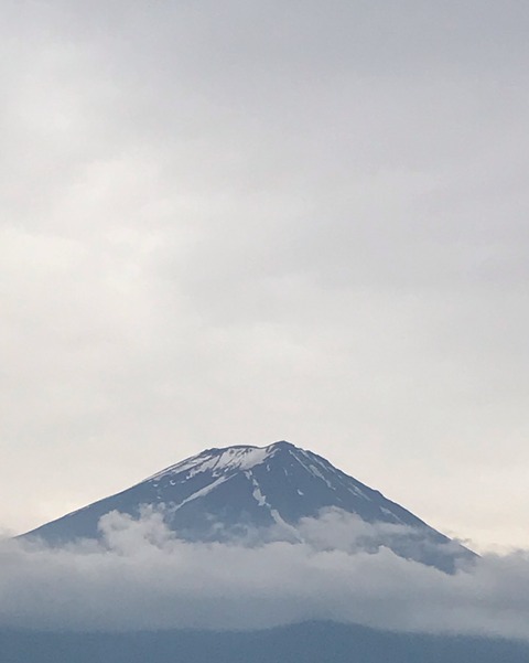 A52972A0-7D25-4726-948E-CCEB8EE90044