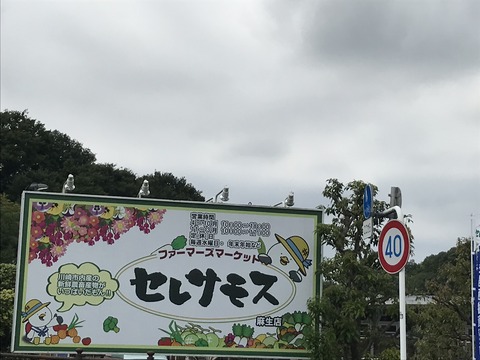 46739214-186C-4079-BE70-49FB93754287