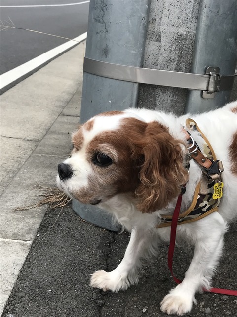 B71F26A9-EA93-464E-B44C-4370AFCC7038