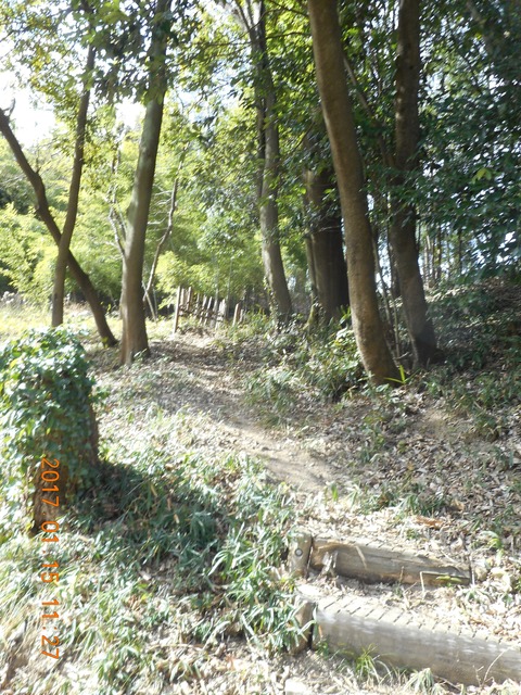 15早野から寺家 030
