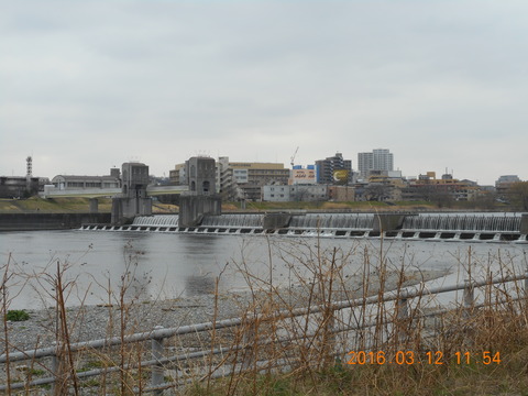DSCN0861