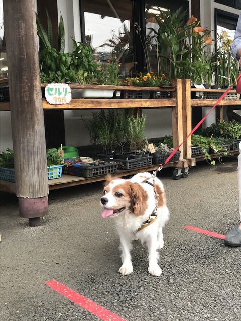 28718C04-8966-4AE5-B8AB-E3C95F64D1DB