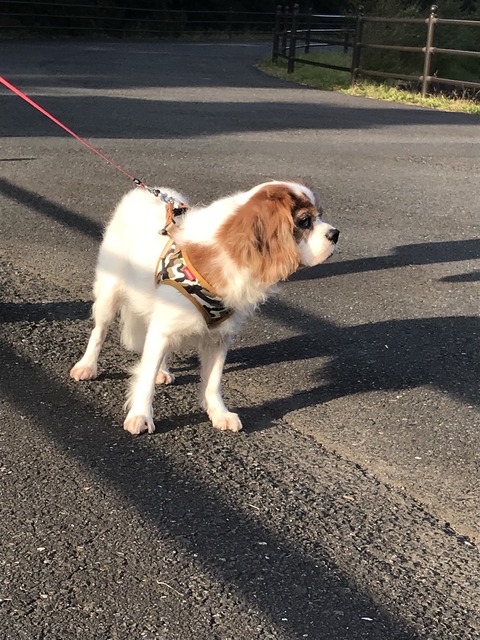 6F238F26-3528-4839-9CFA-0F6131467D9F