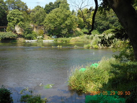 DSCN1230