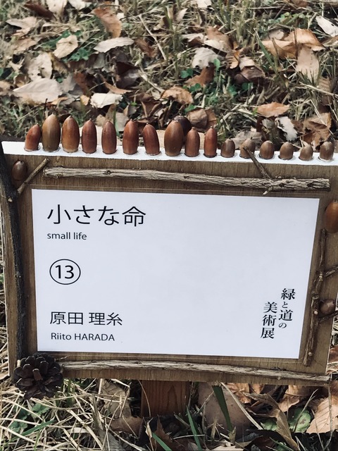 54B778D5-FB4B-4E40-AEEF-46A0A2AD9024