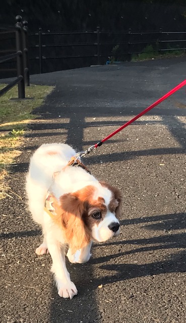 85AA598C-7933-43B1-9ABD-1076310C7882