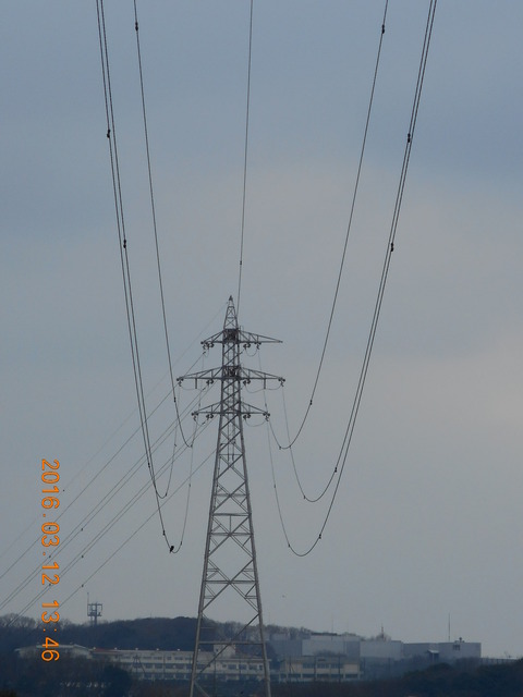 DSCN0872