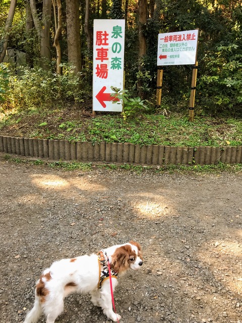 D6659E1B-445E-440B-B707-4C17CC1DF0B1