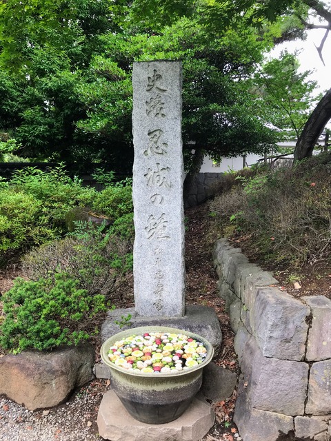 D51D4A07-F60B-47D4-BC41-48BA9C31D983