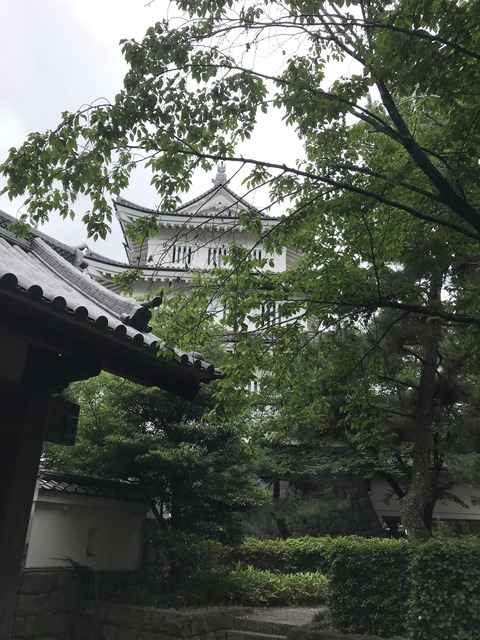 B301E18D-1197-4D91-9E5B-8FB18387B181