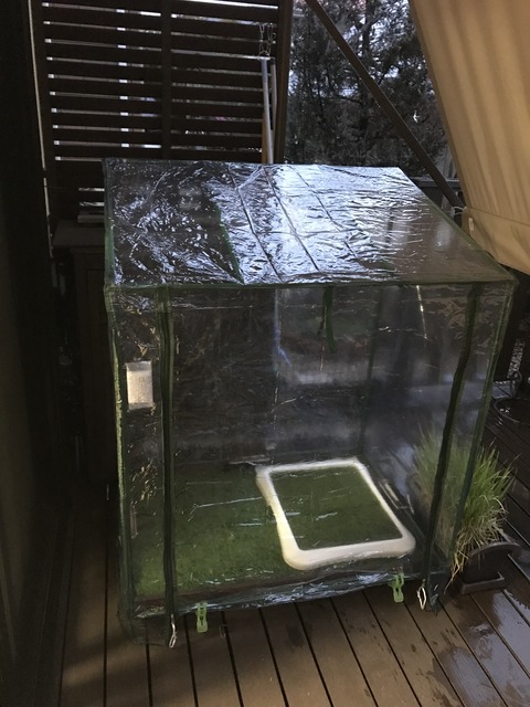 F6E3037A-3BCA-42CB-8BD4-09753F504C78