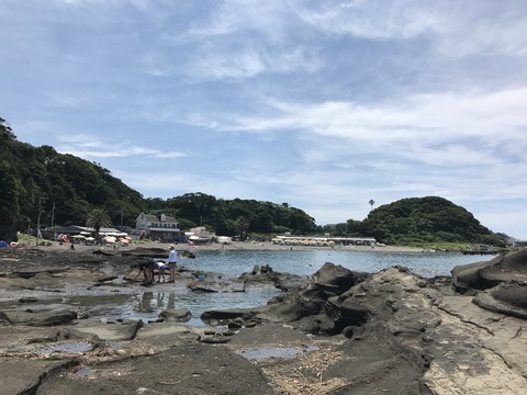 69F4A15F-348F-4A98-B769-D7766939F297