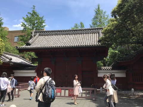 CD62C0E6-DCA3-4034-AF7C-AA35C2CE6D64