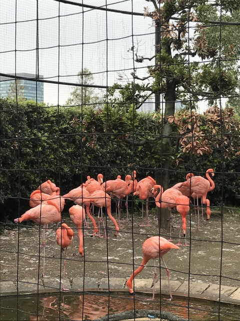 EA79042D-C951-4849-9B46-E515AA1D55C8