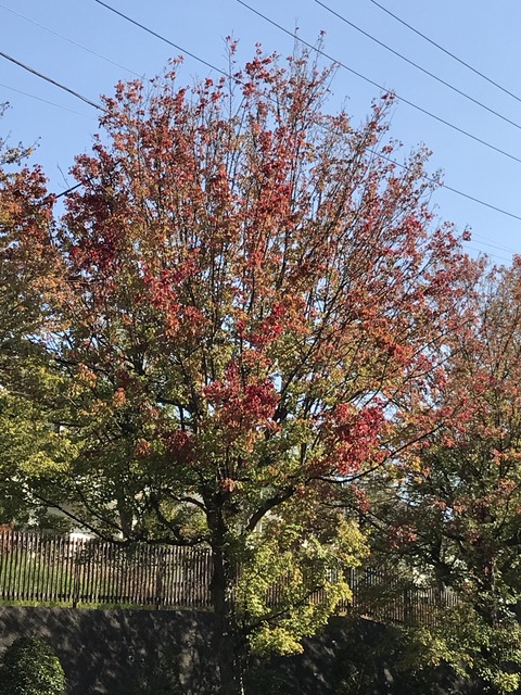 D33616D1-9FD0-4575-94ED-C8D575F234FC