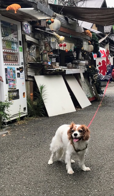 C3807B48-D7D1-40A4-8CDF-BD217ADEAA07