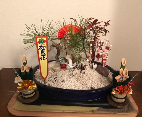 58E12AB4-1003-4C8B-B2FB-24503CDFEA67