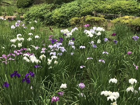 50A8A834-F54E-4444-827F-3E6570B01C23