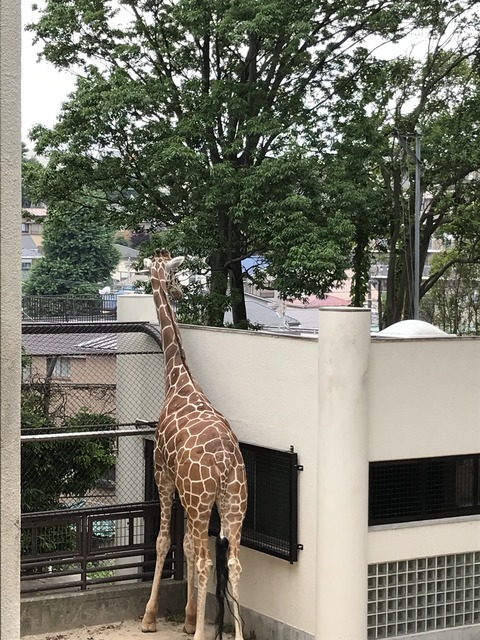 DA83687C-9B14-4CA7-A125-19E68620E4DB