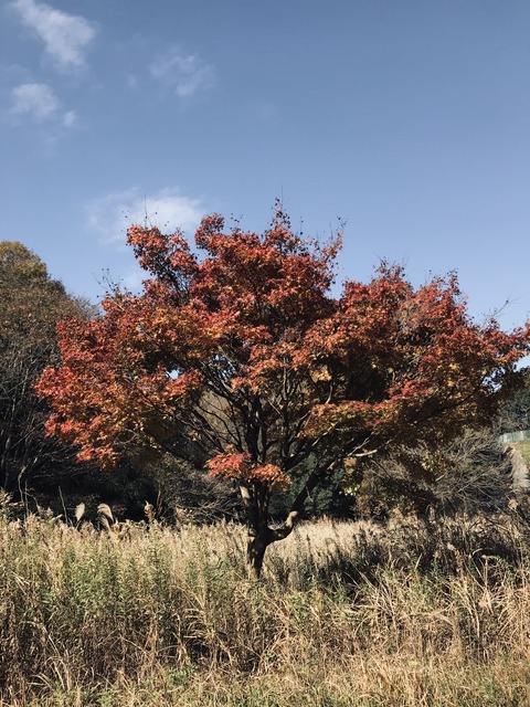 061D7575-EAFC-4309-BFF5-CBE0616BD390