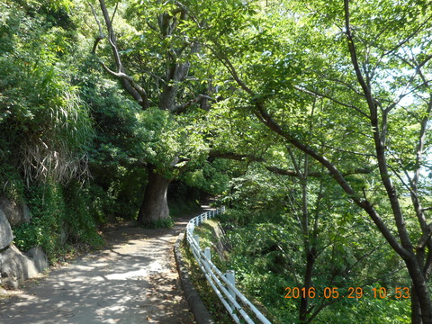 DSCN1243
