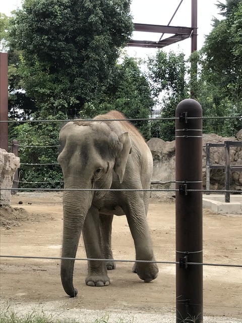 9A6F3813-4D60-4FB4-B41D-0ED7F3945FCB