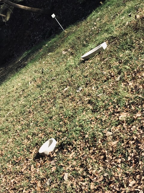 22C8FE2D-0513-4CEB-A358-4F11071B6893