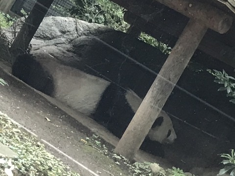 716EBC01-87F7-4549-A6D1-4CFB0A3FEA64