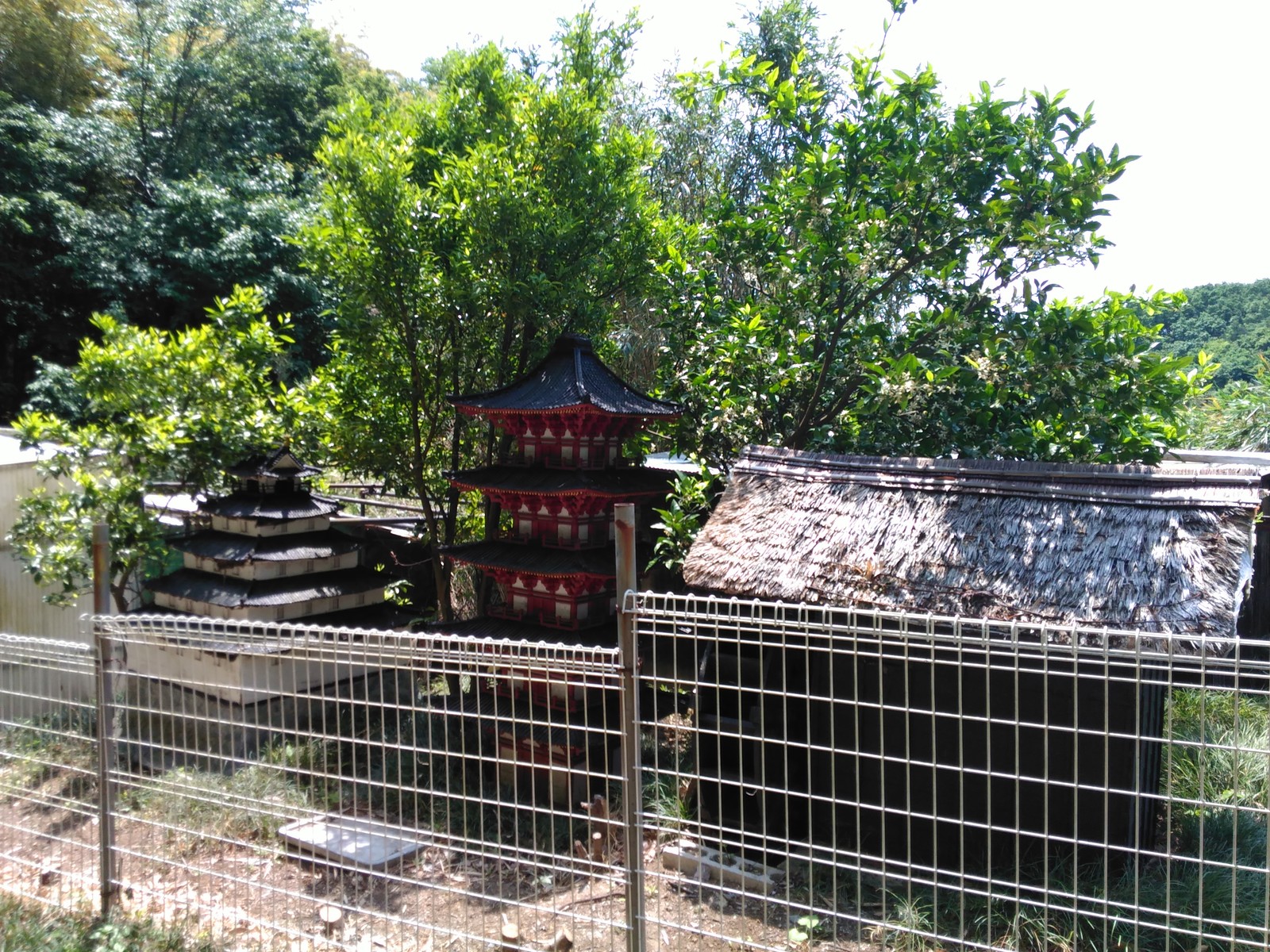 相田みつお心の散歩道を探して あざみ野のおじいちゃんからの報告