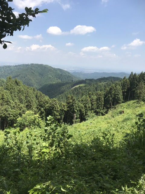 A1CEBFB3-AEC0-4F2B-A9C4-C7802A8E0DFE