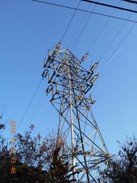 画像101奥高尾 037