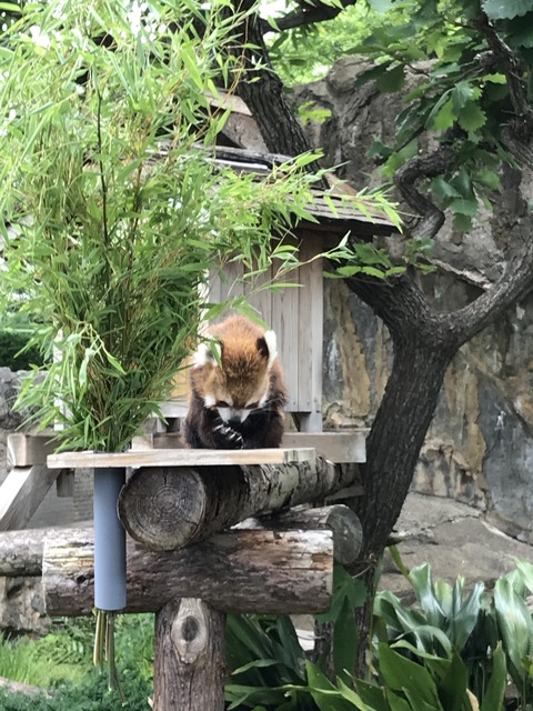 3E0484B3-07DF-4968-B4E5-581DC9AF9F47