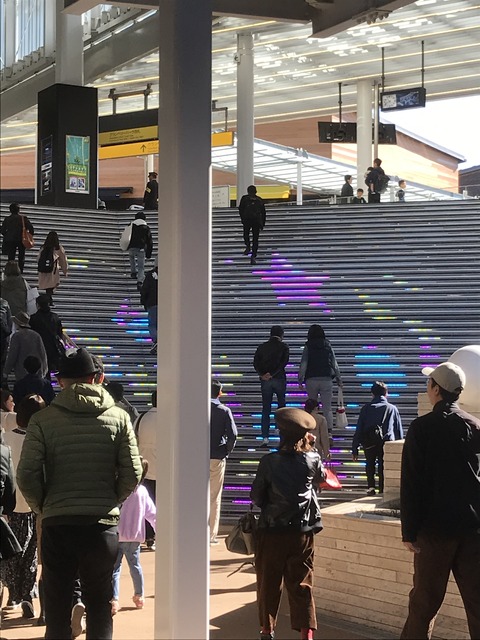 445DD306-AB05-46CE-A629-85D0CCF7C39D