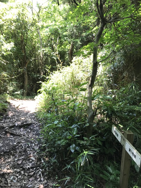 4944B401-38B2-4B75-A80F-A52ED68C84C4