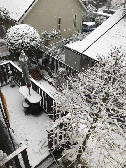 2E360B60-1738-4FEA-944D-DABD306EAB11