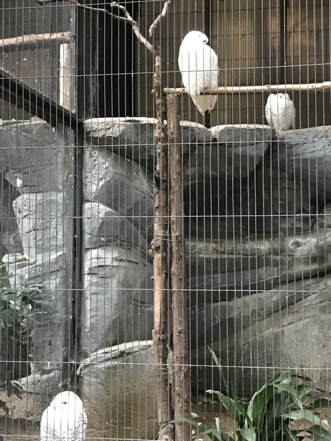 A1B84911-0602-48E8-A802-404EE7090AB3