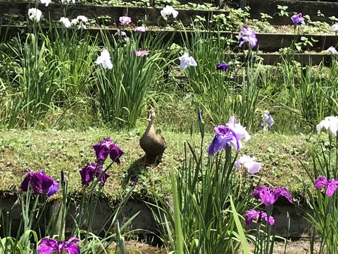 4292BA12-6C5F-4DC4-887B-2F6CC362A7F9