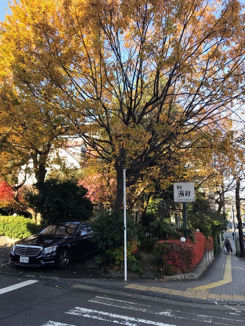 883DF716-F263-4BCC-B6E9-2E422B7359EA