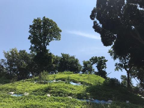 E85432C1-DD3F-459D-BD55-4C0BBD8D285C