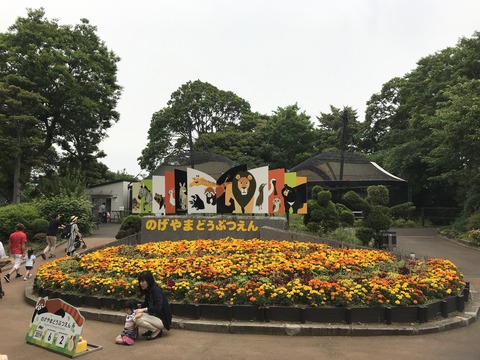 65F04C64-1269-45AE-90EA-B896256AA716