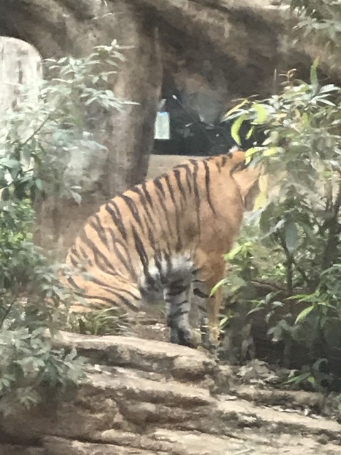 3CB38377-FB4C-427F-A98D-C502BE7C54CB