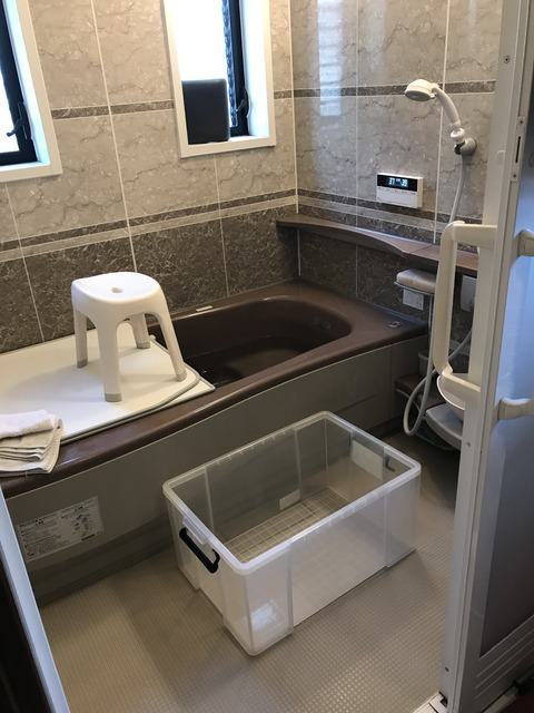 969AAABD-7E1B-4C9F-AE51-EB76754CC167