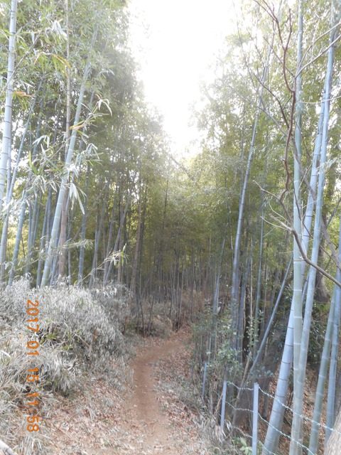 15早野から寺家 054