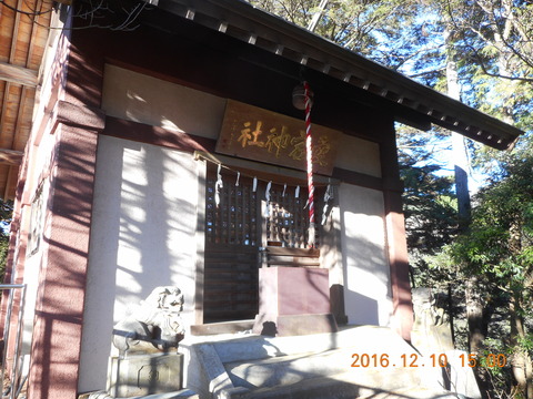 画像101奥高尾 036