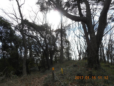 15早野から寺家 023