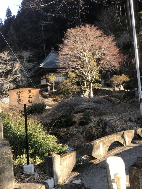 06359DD3-125B-4905-8B0E-C498D5DEE39F