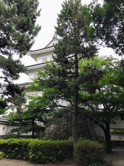 9BC89B50-13CF-4C1E-B997-C7BC72AC3CCD