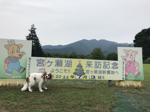 E63FA645-0F25-4FE6-BC4F-C901DA57A763