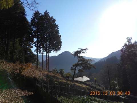 画像101奥高尾 003